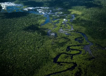 Lula diz que a Amazônia ‘não é só nossa’