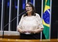 Deputada quer explicação de Dino sobre investida contra o Google