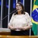 Deputada quer explicação de Dino sobre investida contra o Google