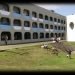 Crianças de escola do Rio encaram apresentação sobre cavalo que ‘senta e rebola’
