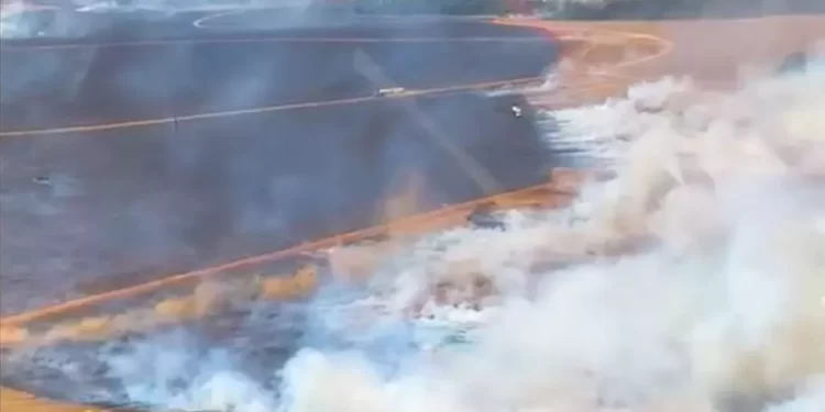 Incêndios de grandes proporções destroem plantações em Mato Grosso
