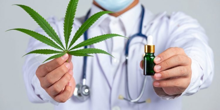 Justiça pode conceder salvo-conduto para cultivo doméstico de maconha para uso medicinal, decide STJ