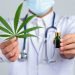 Justiça pode conceder salvo-conduto para cultivo doméstico de maconha para uso medicinal, decide STJ