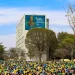 TSE retoma julgamento de Bolsonaro nesta quinta-feira