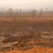 Inpe: Desmatamento do Cerrado cresce 3% em um ano; área atinge 11 mil km²