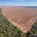 95% dos servidores desistem de ação de fiscalização na Amazônia por ‘abandono’ do governo Lula