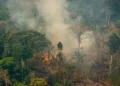 Amazônia bate recorde de focos de incêndio para o mês de fevereiro, mostra Inpe
