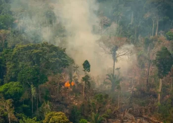 Amazônia bate recorde de focos de incêndio para o mês de fevereiro, mostra Inpe