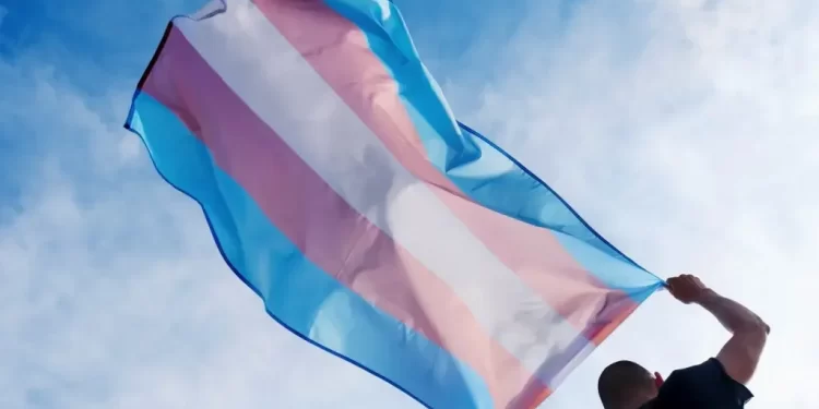 Governo libera R$ 120 mil para estudo sobre crianças trans em SP