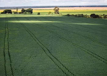 Frente do Agro critica proposta do governo para tributar LCIs e LCAs: “A conta será paga pelo consumidor”