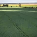 Frente do Agro critica proposta do governo para tributar LCIs e LCAs: “A conta será paga pelo consumidor”